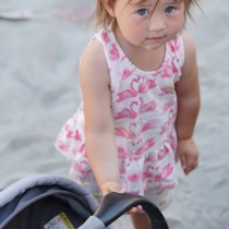 DSC09935 VBvClairemon